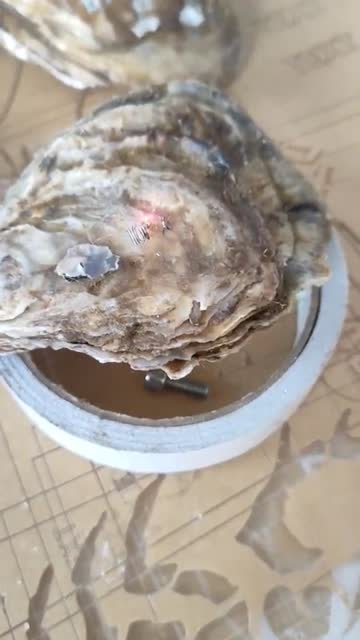 天然材料