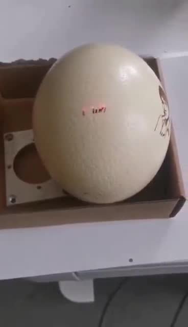 天然材料