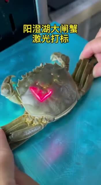 天然材料